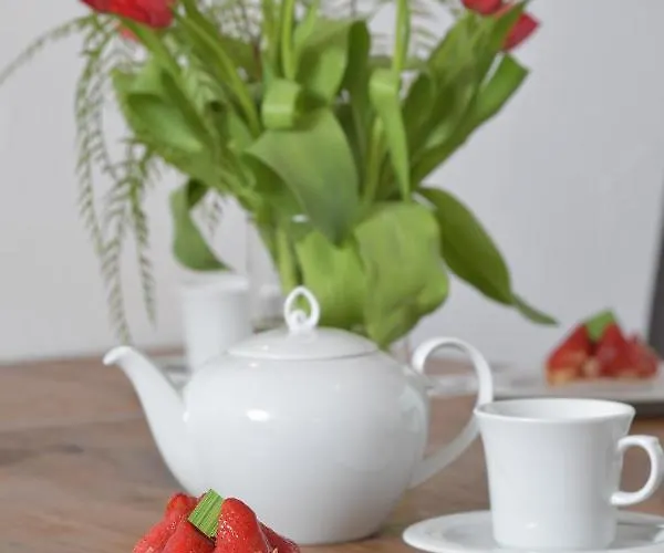 Gerlach اوبرستدورف